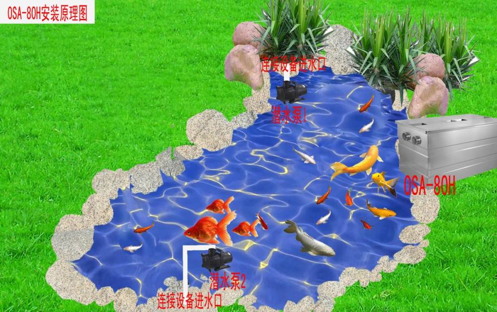 深圳私家魚池過濾設備